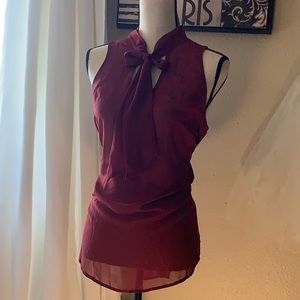 Sheer maroon dress top L